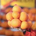 Genijalna ideja kako iskoristiti mrežicu u kojoj se prodaje voće