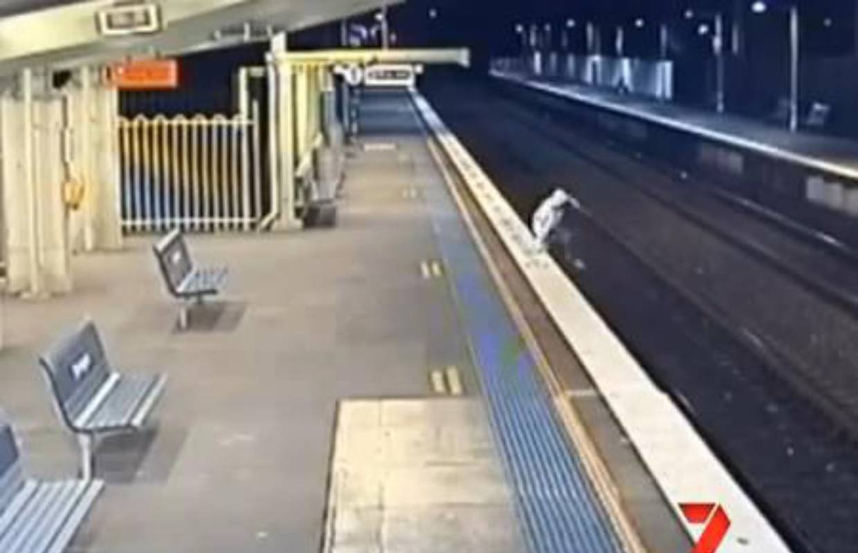 Dječak je pretrčavao prugu zbog djevojke, udario ga vlak