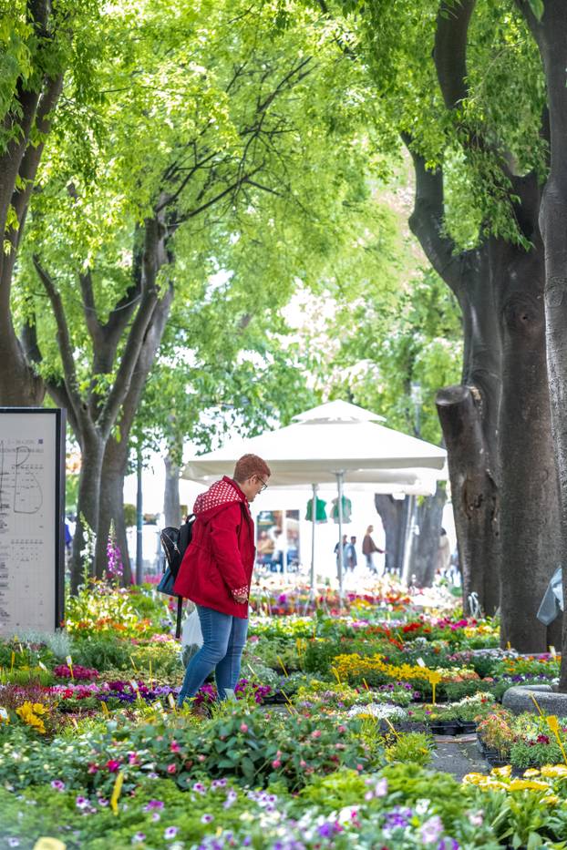Pula: 17. Florija (sajam cvijca) na Giardinima