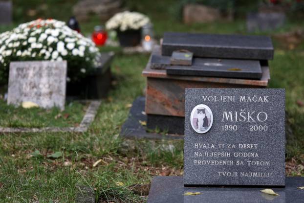 Rijeka: Groblje kućnih ljubimaca na Kozali