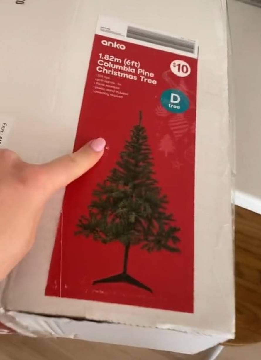 'Naručila sam savršeno drvce za Božić. A doma mi je stiglo ovo'