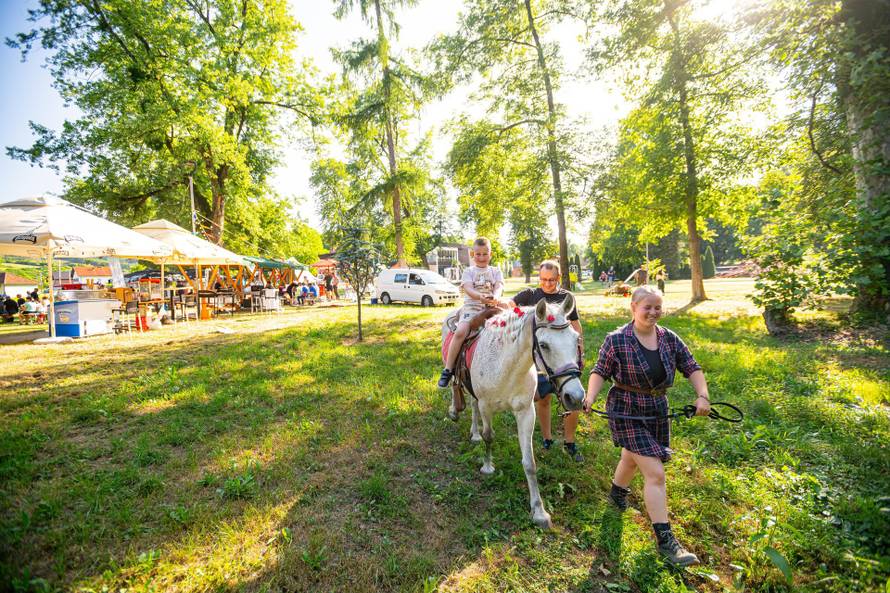 Obiteljski odmor na Papuku: mjesto gdje se djeca igraju, a odrasli dišu punim plućima