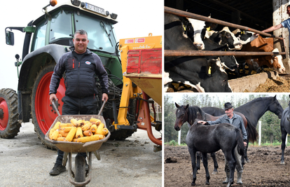 Oni hrane Hrvatsku, a nikad im nije bilo teže: 'Danas se od 10 krava ne živi. Sve je poskupjelo'