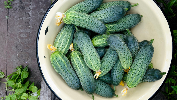 Ovo je najbolje povrće za čuvanje sjemena i evo kako ga skupiti za sljedeću godinu