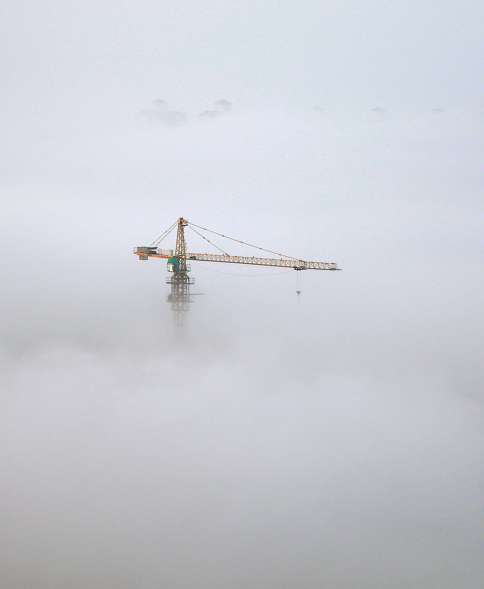 A crane is seen among thick fog in Yantai