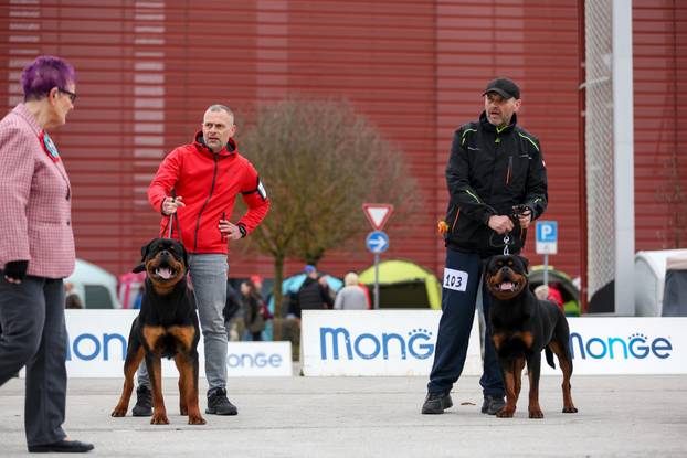 Izložba pasa svih pasmina ispred shopping centra Westgate City u Zaprešiću