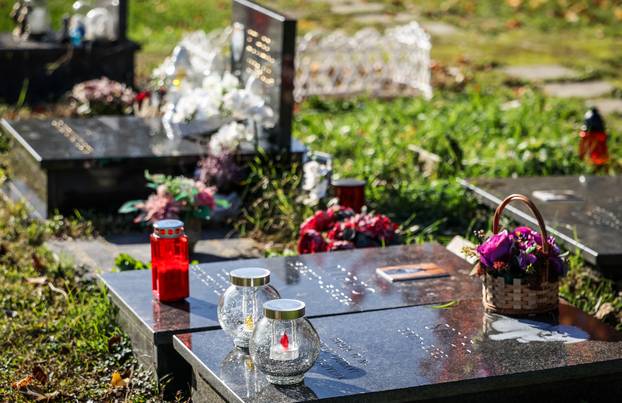 Zagreb: Groblje kućnih ljubimaca u Dumovcu obišao je jedino jedan mačak