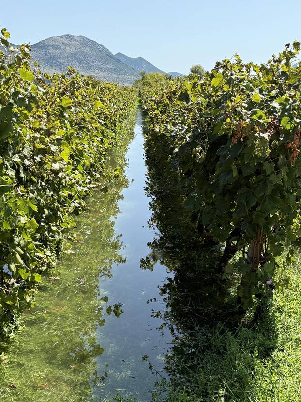 Vrgorac: Posljedice obilnih kiša na području općine Pojezere