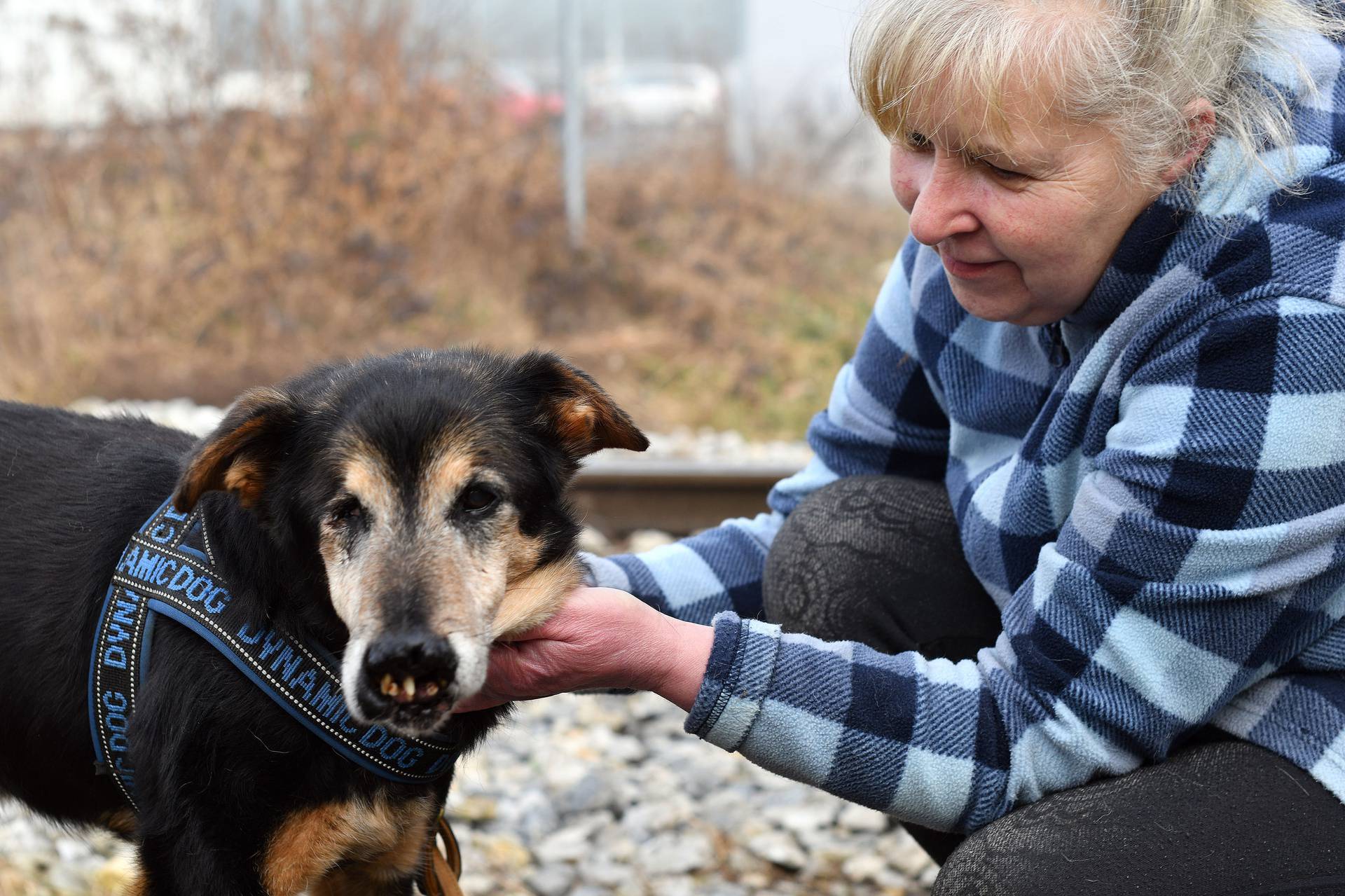 Nosonja ima 21 godinu. Ne vidi i ne čuje, a obožava hranu za štence, jer su mu zubi slabi