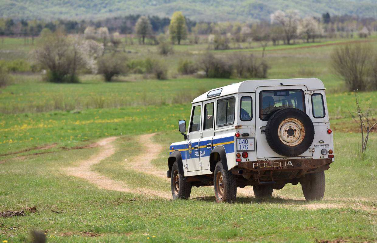 Neoprezno rušio stablo: Palo je na njegovog prijatelja i ubilo ga