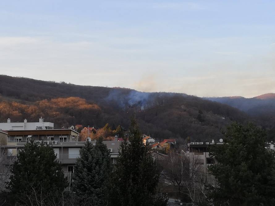 U Zagrebu čak 30 vatrogasaca s 11 vozila gasilo požare trave