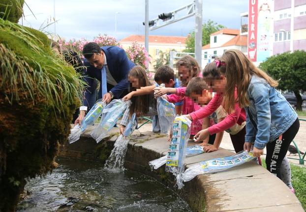 Kornjače u poznatoj šibenskoj fontani dobile društvo - 18 ribica