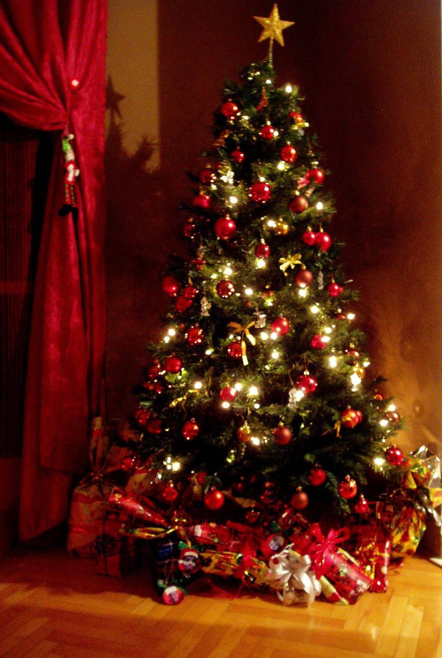 Šaljite fotografije božićnih jelki i osvojite vrijednu nagradu...