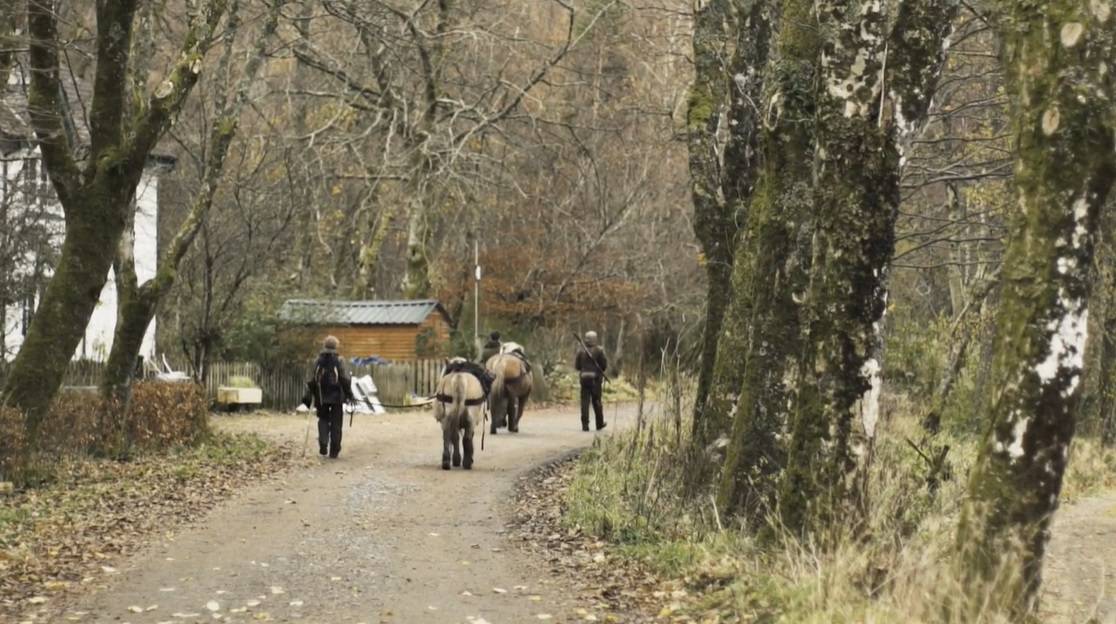 Škotski otok traži stanovnike: Ima nas 30, preselite se kod nas