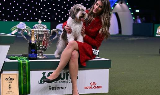 Pse&cacute;i Croatian Sensation na Cruftsu: Slavna Meghan je drugi najljep&scaron;i pas kraljevske izlo&zcaron;be