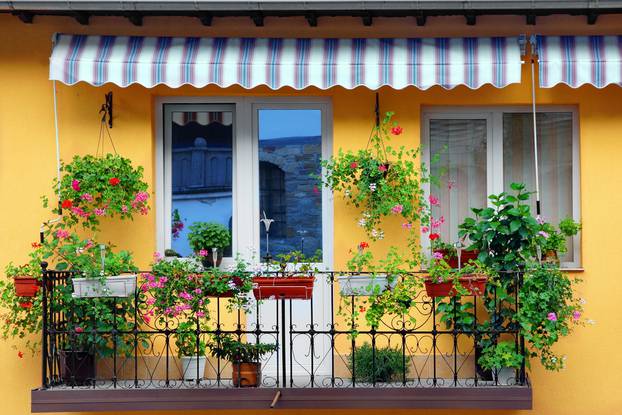 Beautiful,Balcony,Flowery,Garden,Close-up,And,Yellow,Residential,Building,Concrete