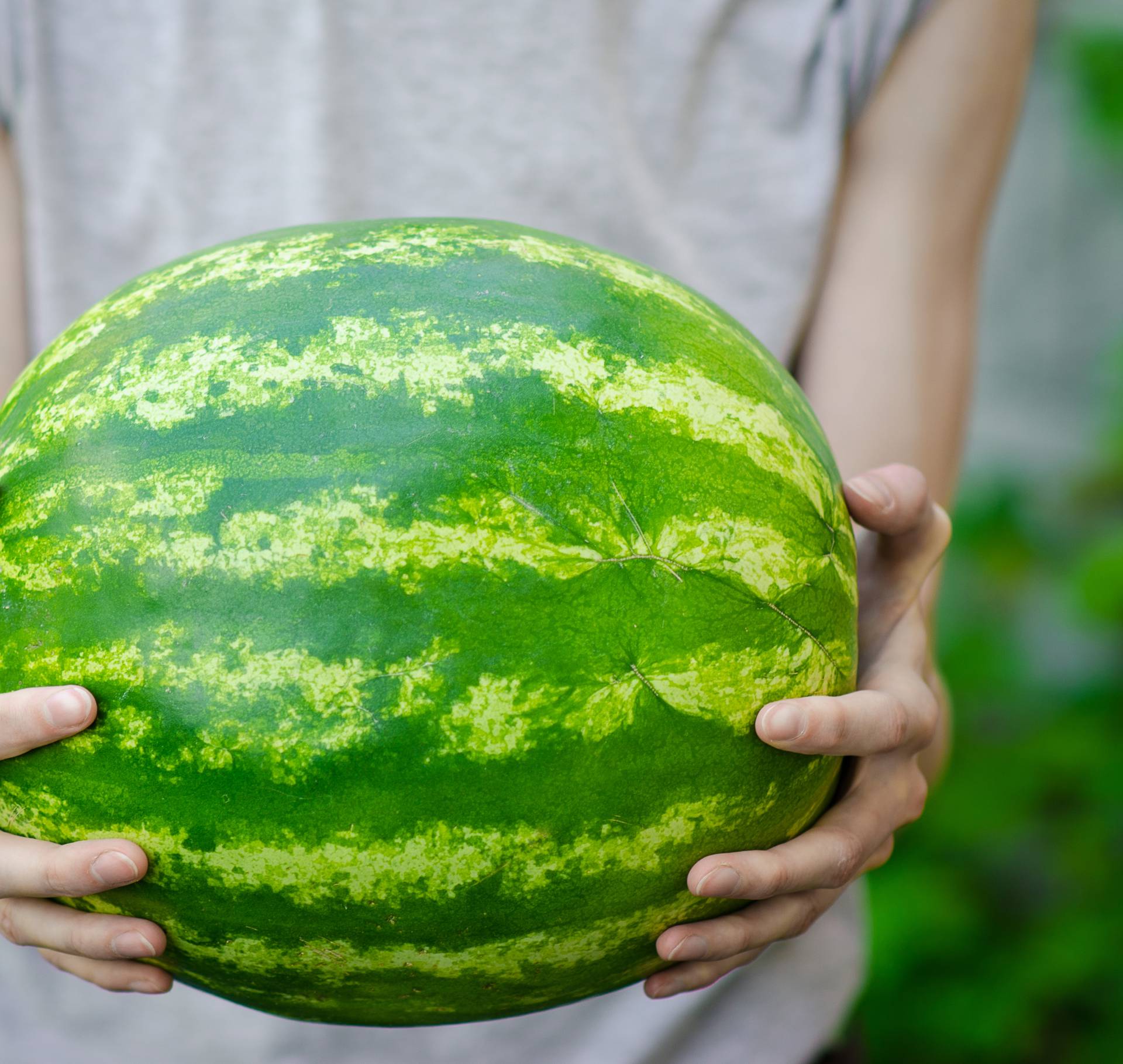 Prepoznajte savršenu lubenicu - obratite pažnju na 8 znakova