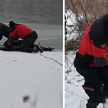 VIDEO Pas propao u ledeni Dunav: Brzom intervencijom vatrogasaca spa&scaron;en i ugrijan