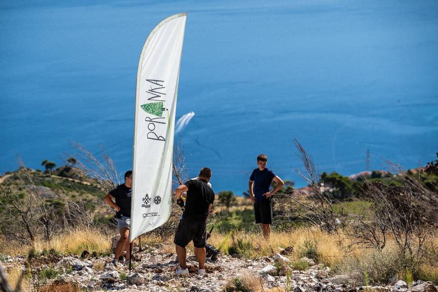 Krenula osma sezona Boranke, nastavljeno pošumljavanje požarišta na Biokovu