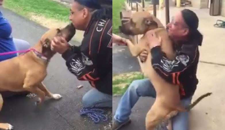 Susret psa s vlasnikom nakon 2 godine dirnuo je cijeli svijet