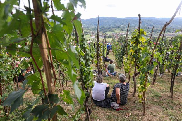 Gornja Stubica: Održan 28. Susret za Rudija
