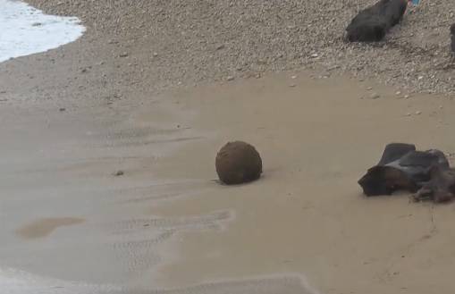 Olujno jugo na plažu izbacilu minu iz Drugog svjetskog rata
