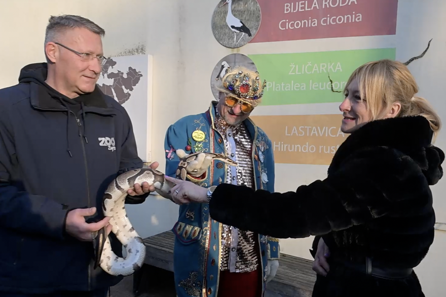 Zagreb: Fašnik je stigao u zagrebački zoološki vrt