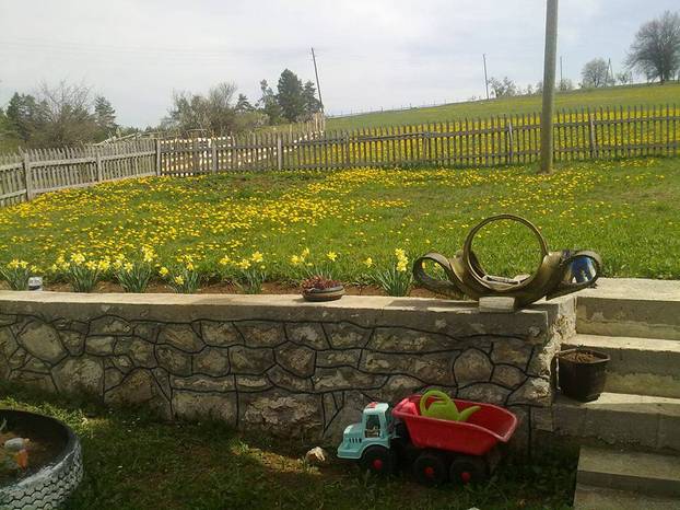 FOTO Najljepša dvorišta i kućni vrtovi - pronađite inspiraciju za vlastitu biljnu oazu