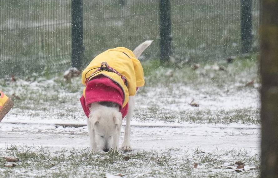 Snijeg je počeo padati i u Zagrebu