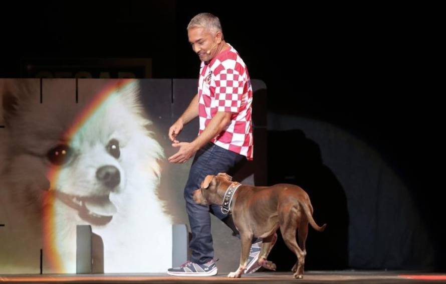 Sanjin Strukic/PIXSELL 