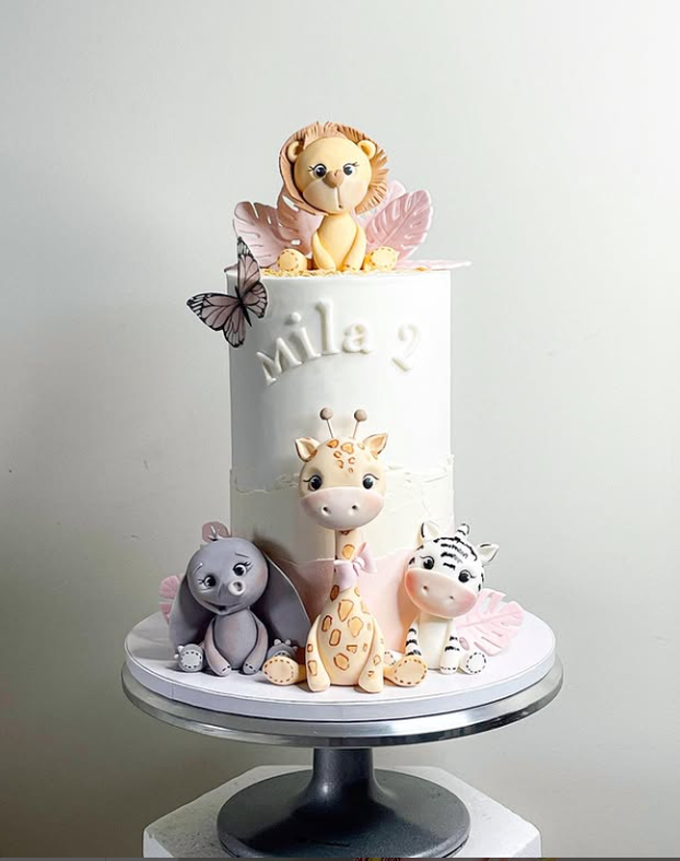 FOTO Maja Šuput proslavila je 46. rođendan - pogledajte tortu koja je bila hit večeri