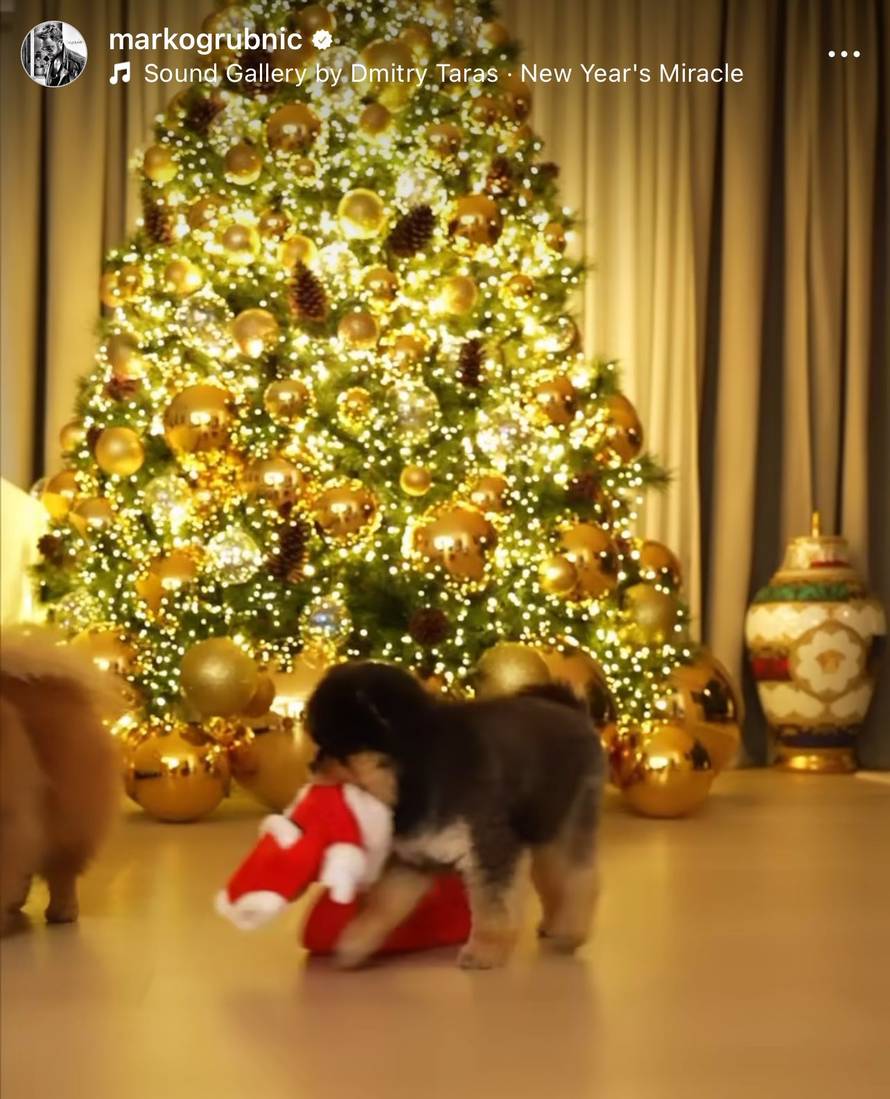 Grubnić pokazao raskošni dom uoči blagdana: 'Božić dolazi!'