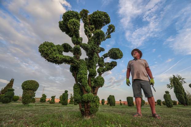 Bajkoviti vrt u srcu Međimurja: Prvi i jedini Topiary park u Hrvatskoj krije se u Sračincu
