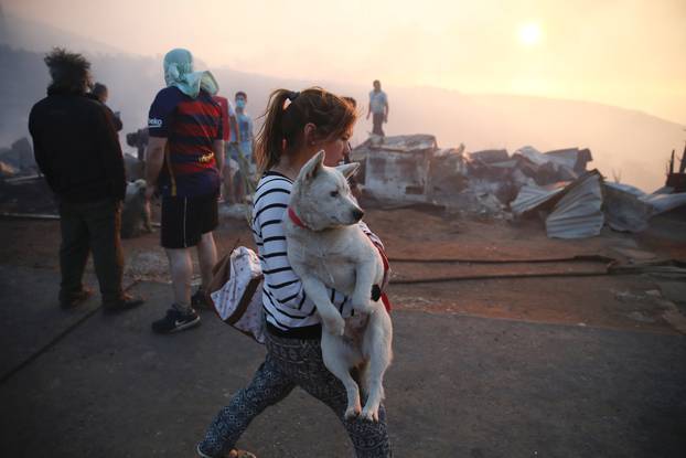 A woman holds her dog after a fire on a hill, where more than 100 homes were burned due to forest fire but there have been no reports of death, local authorities said in Valparaiso, Chile