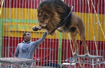 Francuski paraolimpijac trenira lavove u cirkusu