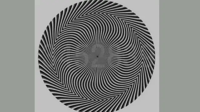 Optička iluzija zbunila mnoge: Koje vi brojeve vidite na slici?