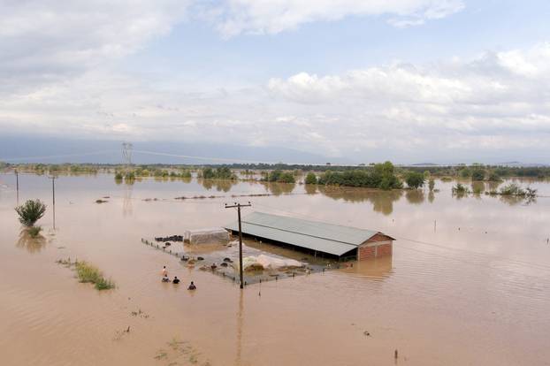Sheep breeders reach a flooded farm to save their animals, following a storm near the village of Megala Kalyvia