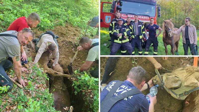 VIDEO Vlasnik s kobilom upao u jamu u Zagorju: 'On je ispuzao, oko kobile smo kopali bagerom'
