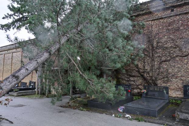 Zagreb: Teško oštećeno gradsko groblje Mirogoj