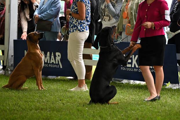 FOTO Neodoljive su njuškice ovih dana blistale u Karlovcu