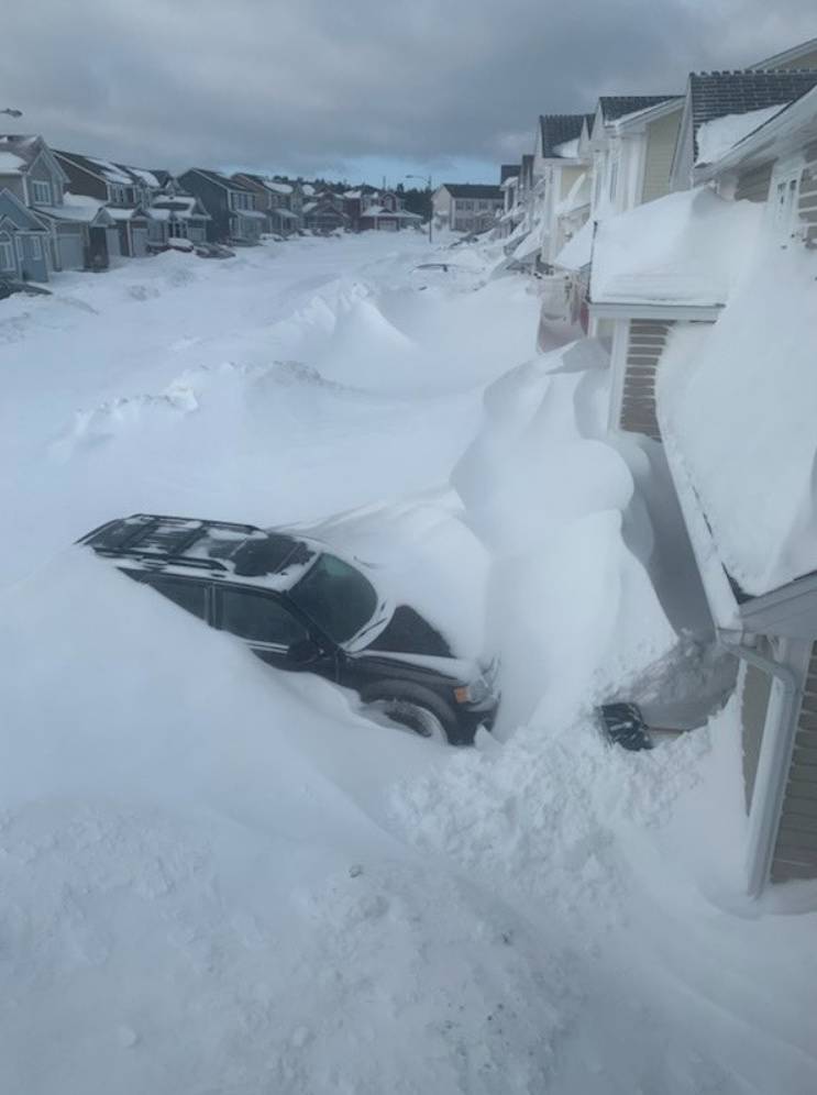 Pile of snow is pictured outside houses in St John's