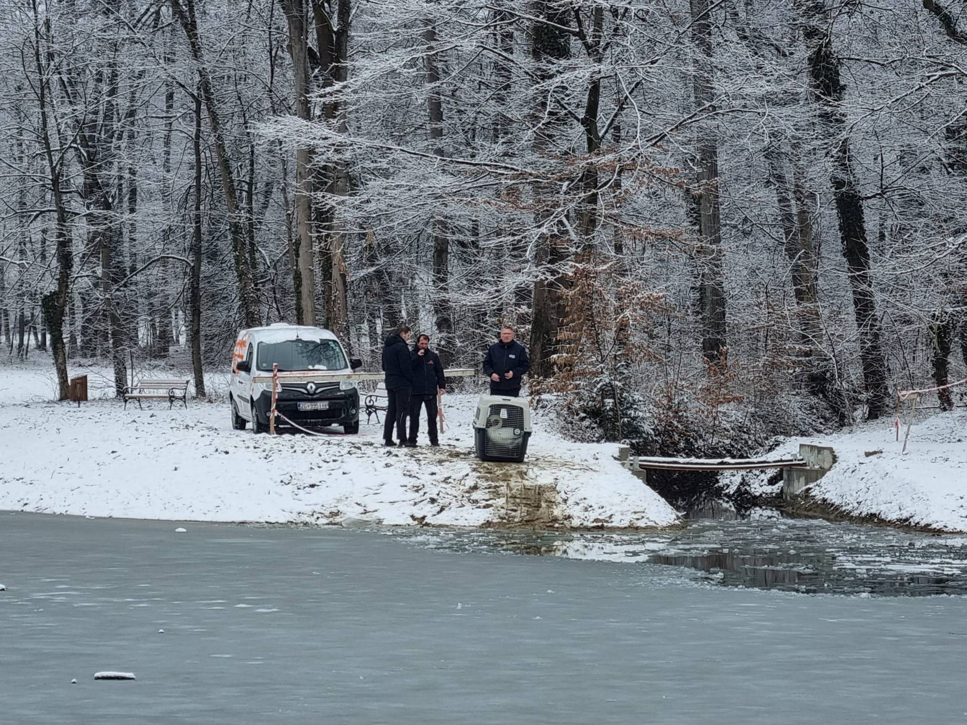 Maksimirsko jezero postalo je dom zaljubljenim labudovima