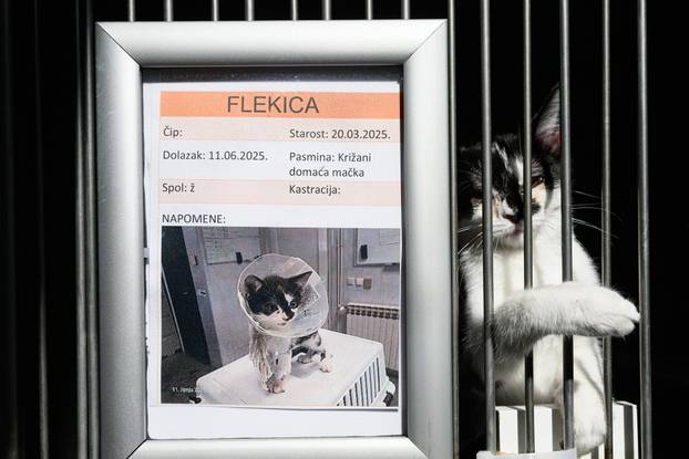 U skloništu Dumovec održan je prvi Dumovečki buvljak na kojem su građani mogli posjetiti sklonište te upoznati pse i mačke