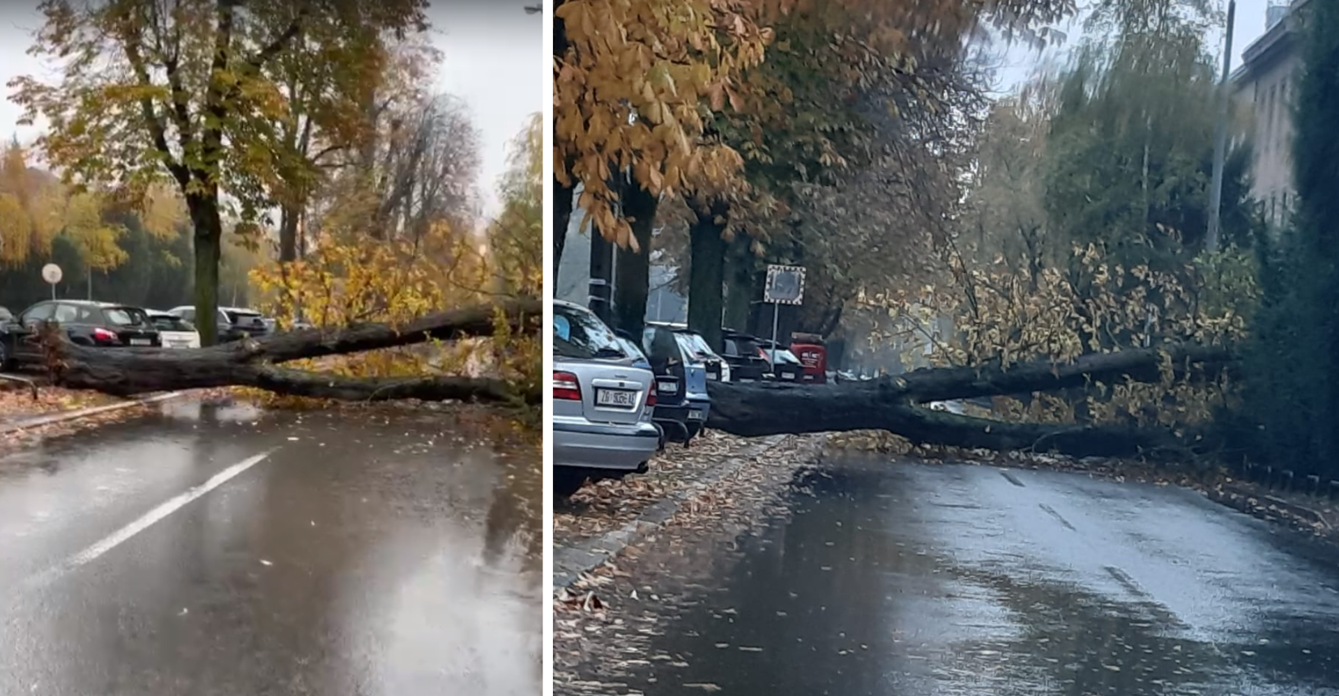 VIDEO Veliko stablo srušilo se nasred ceste u centru Zagreba