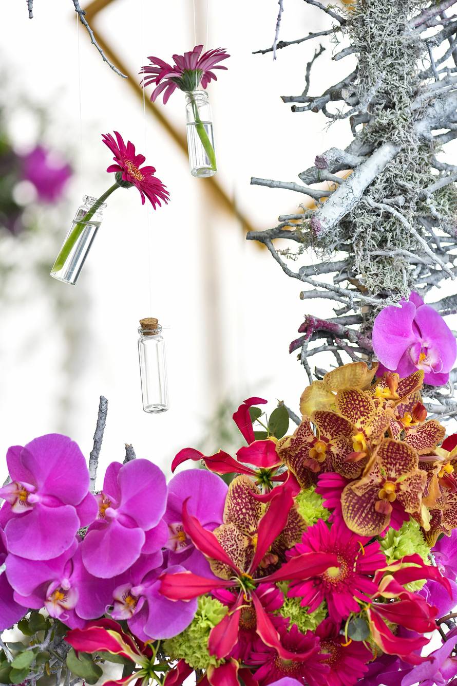 Floraart: Sadnice cvijeća od 2 kune, a za 25 mini vrt u posudi