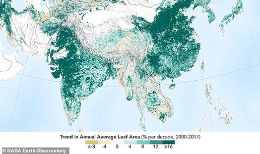 Napokon dobre vijesti: Zemlja je zelenija zbog Kine i Indije