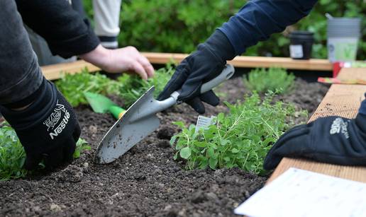 Za&scaron;to stru&ccaron;njaci poti&ccaron;u povratak sezonskoj prehrani?