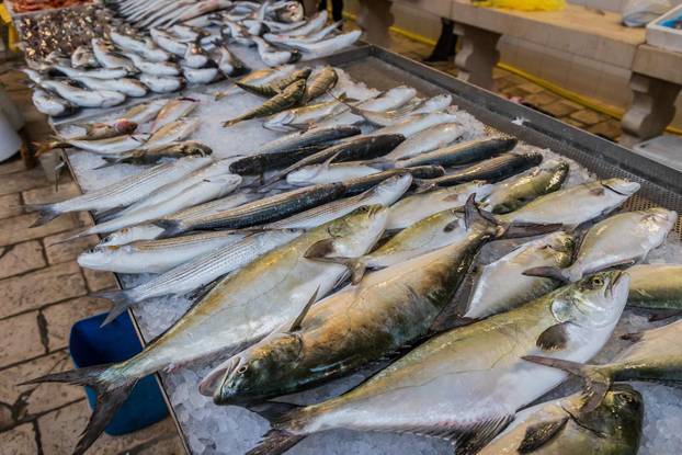 Split: Bogata ponuda ribe petkom u splitskoj ribarnici