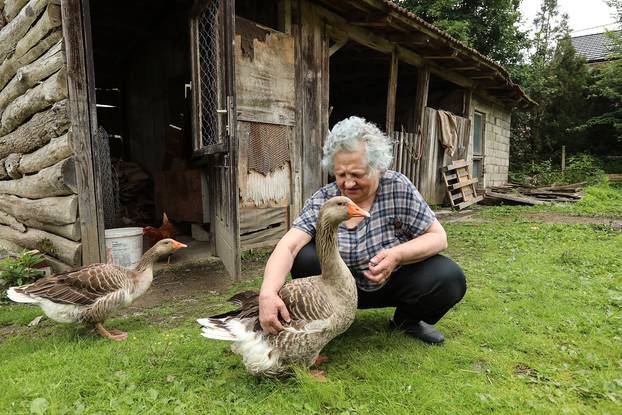 Zabok: Gospođa Ana vlasnica je guske Severine