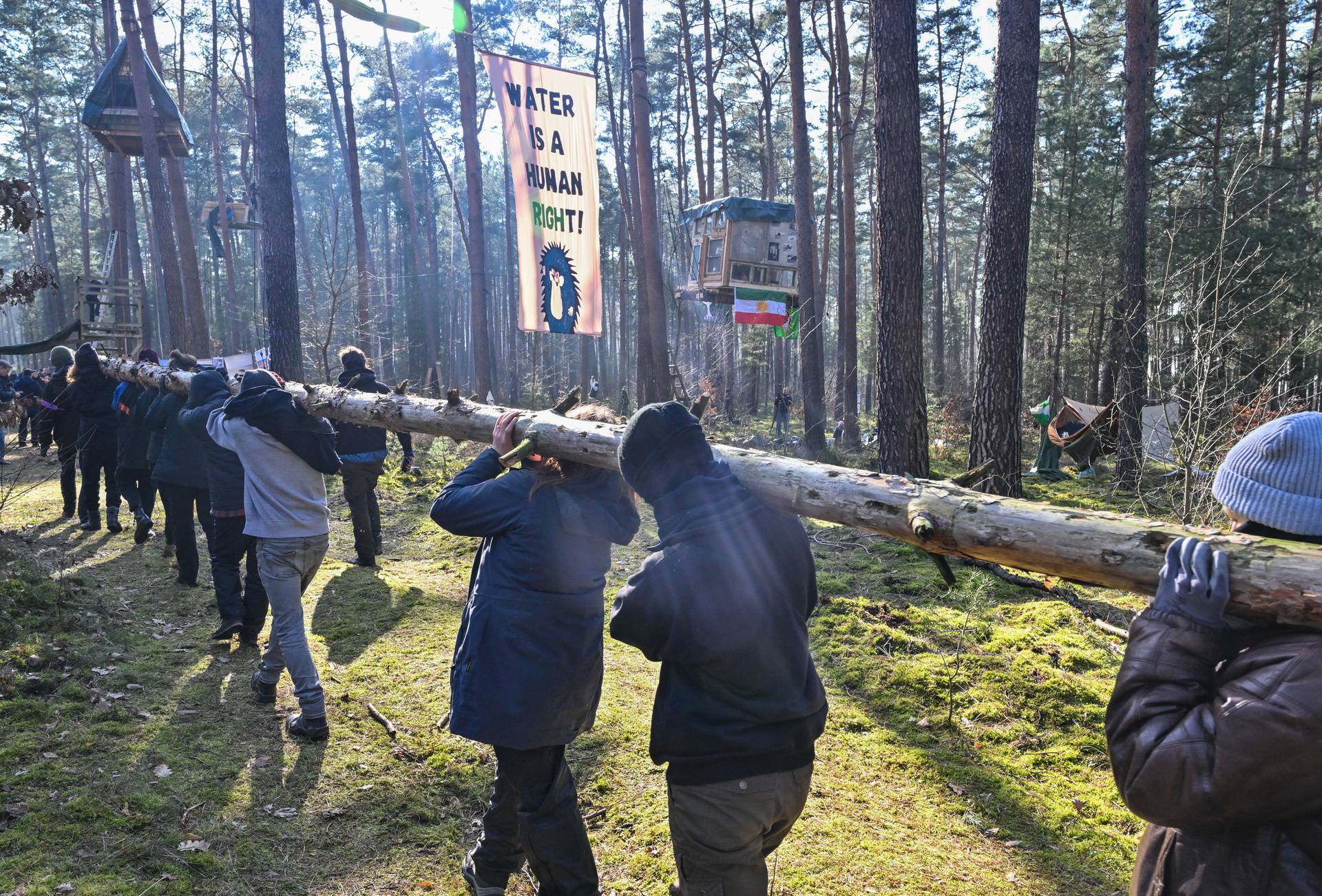 Activists occupy woodland near Tesla plant in Grünheide